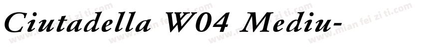 Ciutadella W04 Mediu字体转换